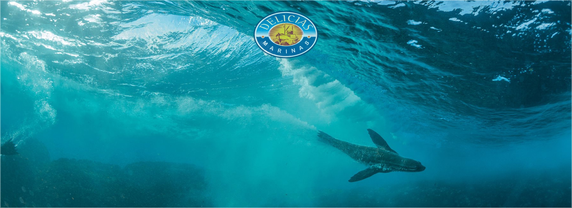 CAPTURA Y ELABORACION DE PRODUCTOS MARINOS